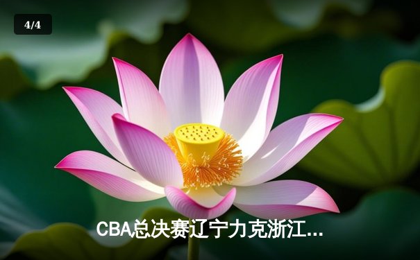 CBA总决赛辽宁力克浙江 赵继伟28+9率队夺赛点 - 4