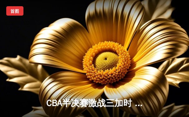 CBA半决赛激战三加时 辽宁本钢123-119逆转广东宏远