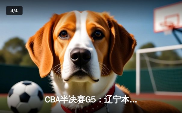 CBA半决赛G5：辽宁本钢加时逆转广东宏远 张镇麟34分创生涯新高 - 4